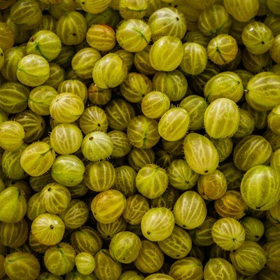 Photo of Gooseberry