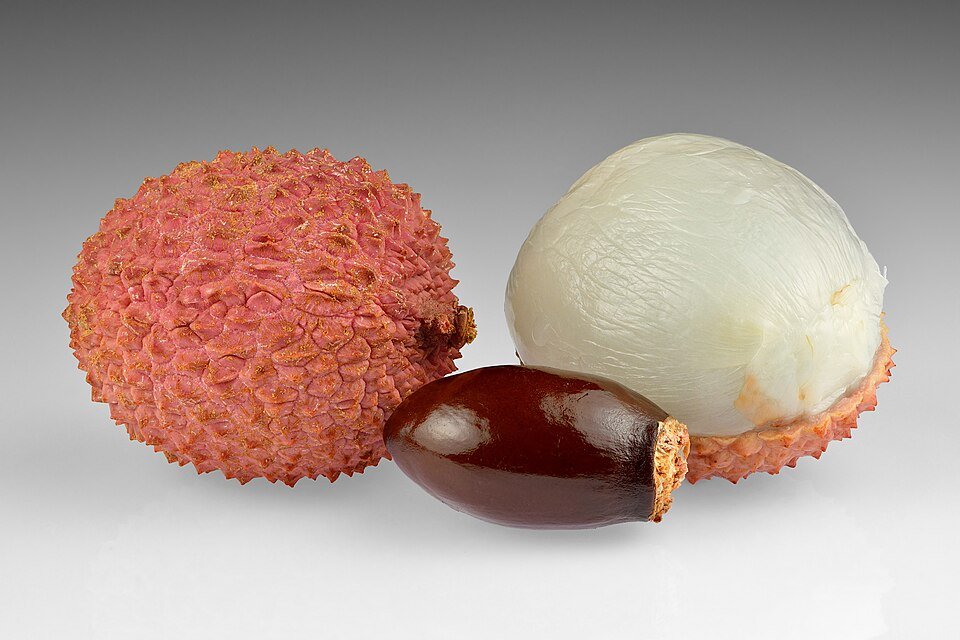 Photo of Lychee
