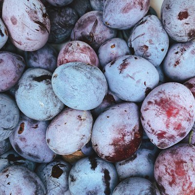 Photo of Plum