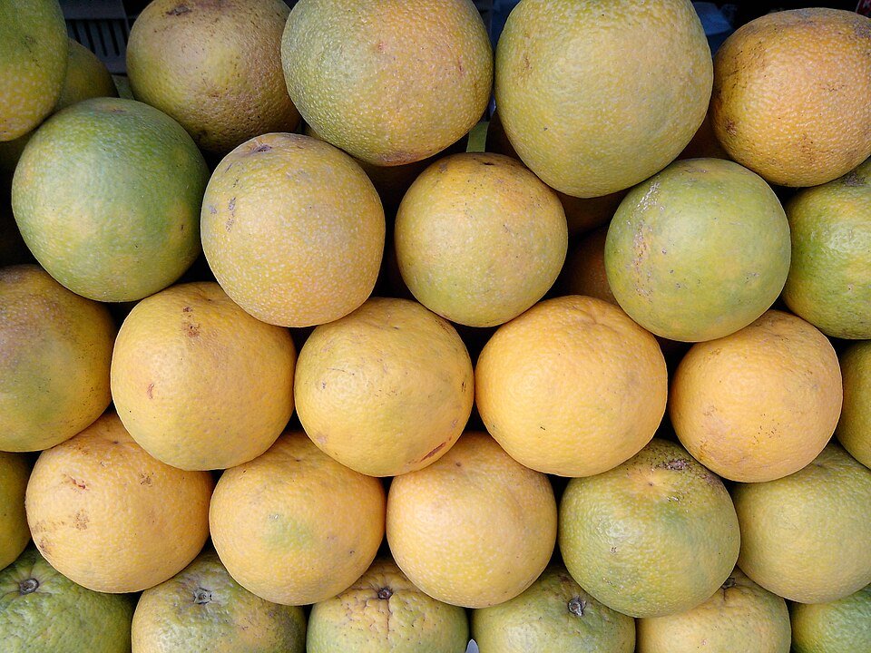 Photo of Sweet lime